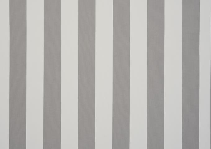 Brise vue BS gris Dickson orchestra 8907