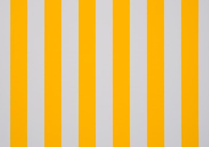 Brise vue BS jaune Dickson orchestra 8553