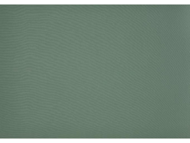 Brise vue fougere vert dickson orchestra 8201