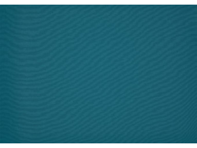Brise vue paon bleu dickson orchestra 8901