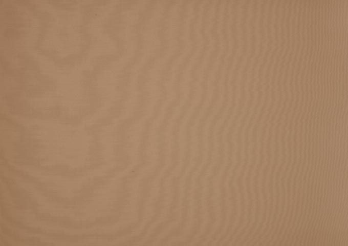 Brise vue toast beige dickson orchestra 8891