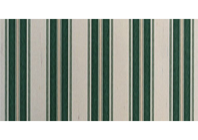 Brise vue aneto vert Sauleda Sensation 2012