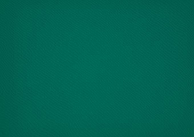 Lambrequin vert dickson orchestra 0003