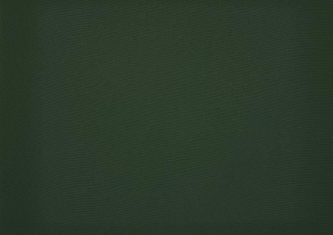 Lambrequin olive vert dickson orchestra 0853