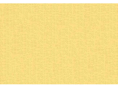 Brise vue rÃ©tractable ultra rÃ©sistant avec toile Soltis 92 jaune poussin 2013