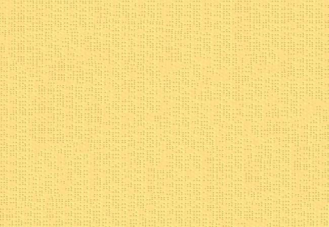 Brise vue rétractable ultra résistant avec toile Soltis 92 jaune 2166