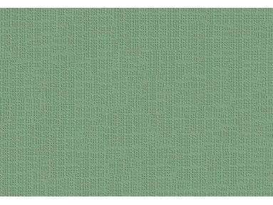 Brise vue rÃ©tractable ultra rÃ©sistant avec toile Soltis 92 vert mousse