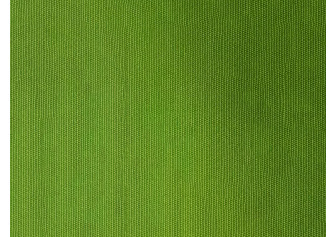 Toile de store Latim Tendance ACRYLIQUE A 187 VERT POMME