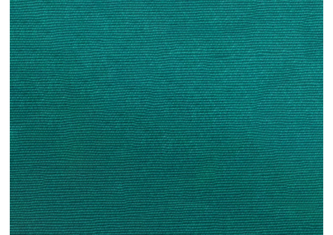 Toile de store Latim Tendance ACRYLIQUE A 254 VERT