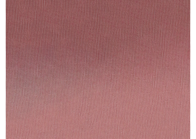 Toile de store Latim Tendance ACRYLIQUE A 884 ROSE CLAIR