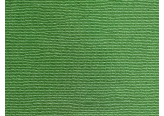 Toile de store Latim Tendance ACRYLIQUE A 97 VERT TENDRE