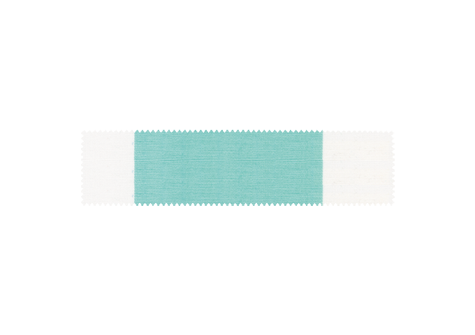 Toile de store Para Tempotest  378 Righe pari