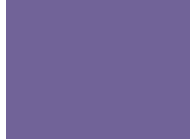 Toile de store Sauleda VIP FR PVC PVC VIP FR 6302 VIOLETA