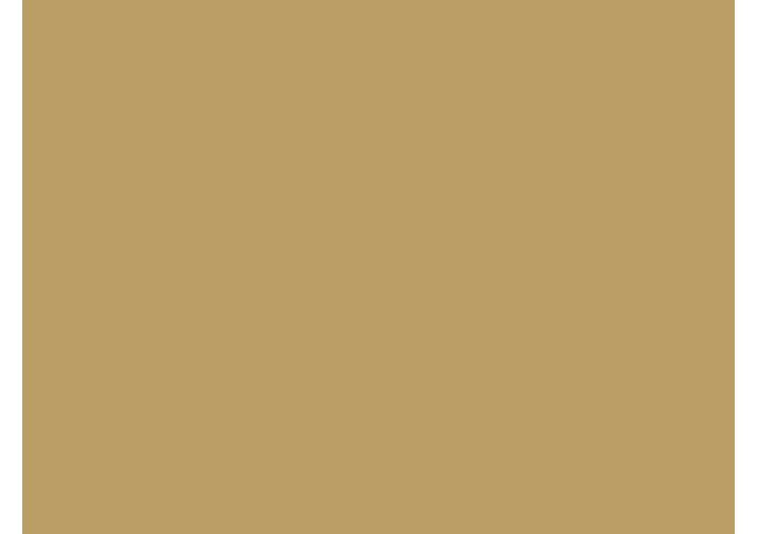 Toile de store Sauleda VIP FR PVC PVC VIP FR 6653 BEIGE