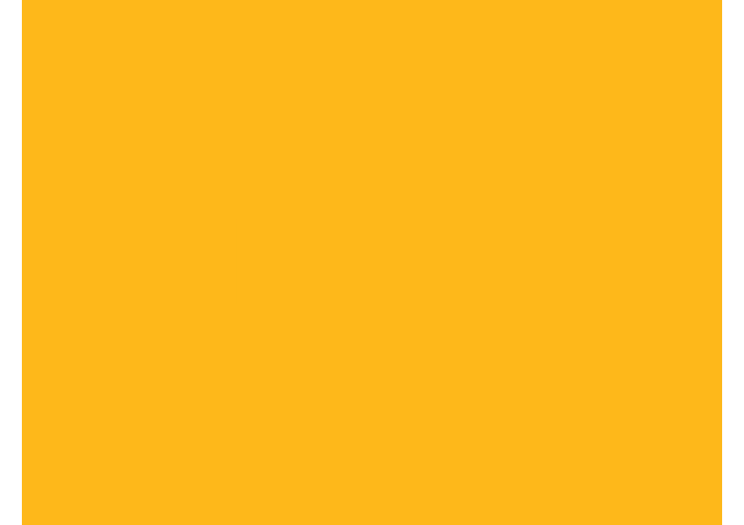 Toile de store Sauleda VIP FR PVC PVC VIP FR 6656 AMARILLO