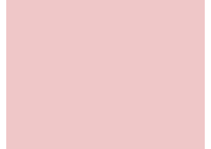 Toile de store Sauleda VIP FR PVC PVC VIP FR 6661 ROSA
