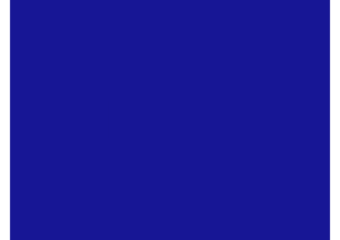 Toile de store Sauleda VIP FR PVC PVC VIP FR 6664 AZUL OSCURO