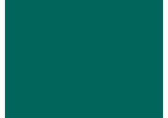 Toile de store Sauleda VIP FR PVC PVC VIP FR 6668 VERDE