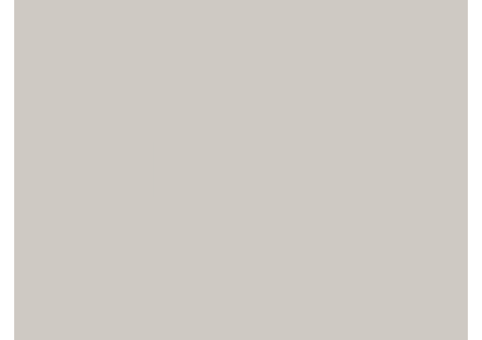 Toile de store Sauleda VIP FR PVC PVC VIP FR 6670 SILVER