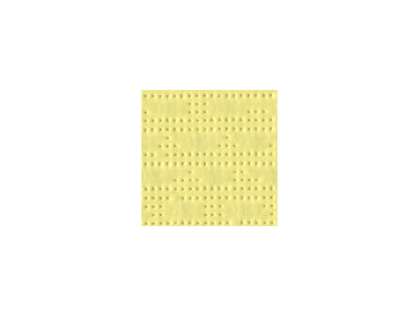 Brise vue rétractable ultra résistant avec toile Soltis 96 50846 citrus