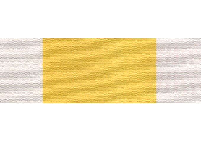 Toile de store Giovanardi shade G015