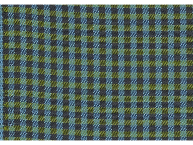 Toile au mètre Sunbrella Checks Oliver green F059