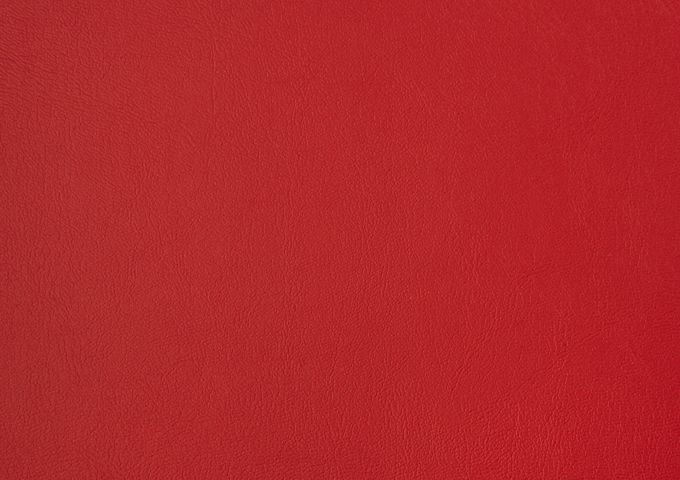 Toile au mètre sunbrella Horizon Capriccio Logo Red 10200 16