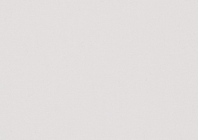 Toile au mètre Dickson Infinity Ecru INF 0001