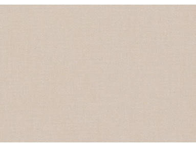 Toile au mètre Dickson Infinity Grege INF 6020