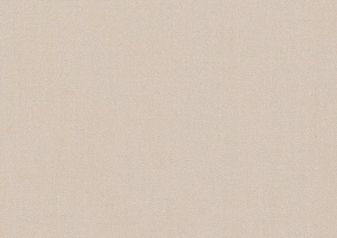 Toile au mètre Dickson Infinity Grege INF 6020