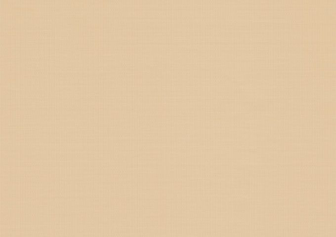 ECHANTILLON Sunworker SWK6 Champagne M711 SWK6 ECHANTILLON Sunworker SWK6 Champagne M711 SWK6