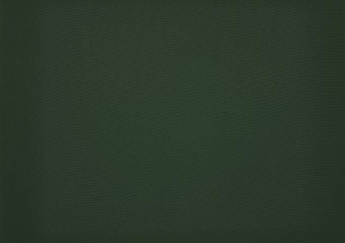 Toile de store Latim Tendance ACRYLIQUE A 77 VERT CHROME