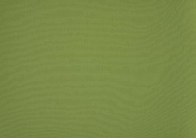 Toile de store Latim Tendance ACRYLIQUE A 86 VERT CLAIR