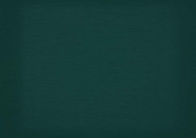 Toile de store Latim Tendance ACRYLIQUE A 88 VERT SAPIN