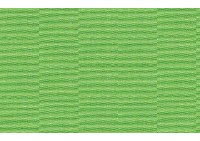 Tissu ameublement Citel 00138 Canvas parrot green
