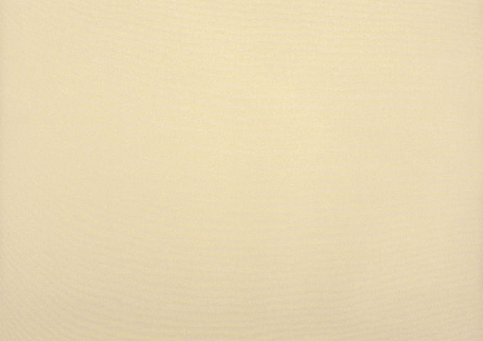 Brise vue ivoire beige dickson Orchestra Max 7548MAX