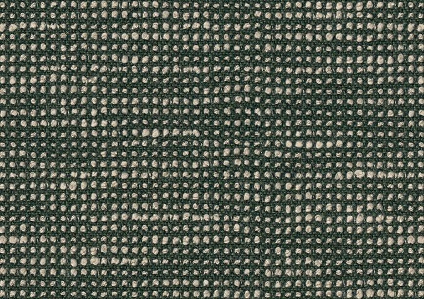 Toile au mètre Sunbrella Slow Fern 19106