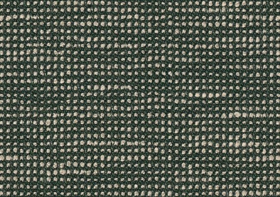 Toile au mètre Sunbrella Slow Fern 19106