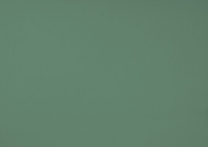 Toile au metre fougere vert dickson orchestra 8201
